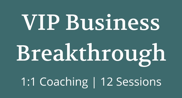 Business Breakthrough VIP Marketing Coaching Program